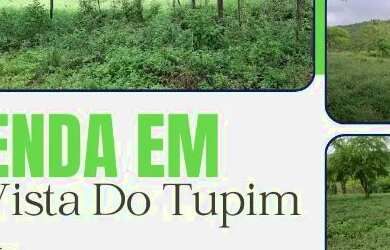 Imagem: A fazenda está localizado em Boa Vista do Tupim, BA à venda