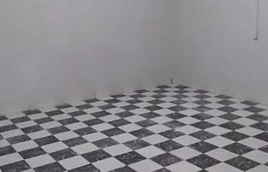 Imagem 9: Aluga casa na Vila Tupi. 