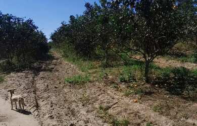 Imagem: A fazenda possui 48.400m² de Área e está localizado em Silva