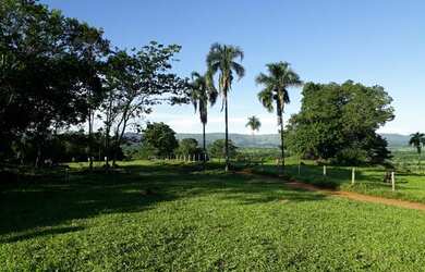 Imagem 4: Fazenda 8 alqueires. 8m² de Área Privada