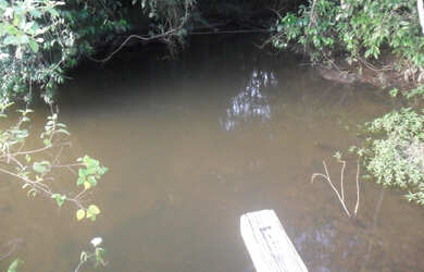 Imagem 7: 2.500 hectares terra pra cria vacas por 8.800 mil reais o hectare no Pará...