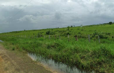Imagem 5: 2.500 hectares terra pra cria vacas por 8.800 mil reais o hectare no Pará...