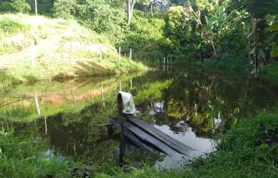 Imagem 3: Vendo excelente fazenda em gandu
