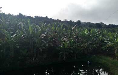 Imagem: A fazenda possui 16m² de Área e está localizado em Gandu