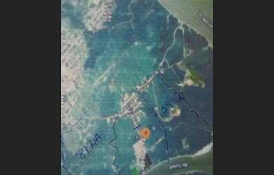 Imagem 6: 81 hectares em Curuça terra boa pra criar camarão ou fazenda R$200 mil...