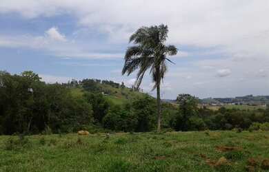 Imagem 5: TERRENO RESIDENCIAL em Pinhalzinho - , Curitibanos