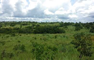 Imagem 14: 117 alqueires em Goias Velho-Go