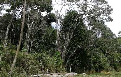 Imagem 13: TERRENO RESIDENCIAL em Pinhalzinho - , Curitibanos