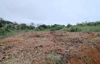 Imagem 3: Lote. 288m² de Área