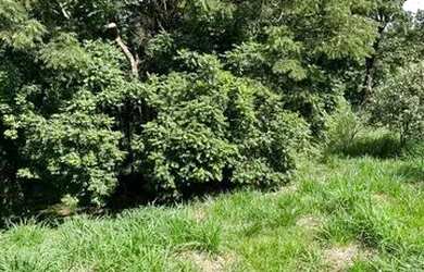 Imagem 2: Chácara à venda, 2098 m² por R$ 465.000,00 - Cardeal - Elias Fausto/SP