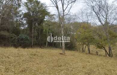 Imagem: A fazenda possui 1m² de Área e está localizado em Segismundo