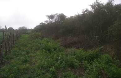 Imagem 9: Terreno com 22 Tarefas. 90.000m² de Área