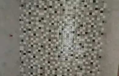 Imagem 15: Casas Novas Frente de Rua e Independente 2 Quartos e Garagem Próx. Manoel...