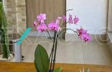 Imagem 3: apartamento - Parque Rural Fazenda Santa Cândida - Campinas