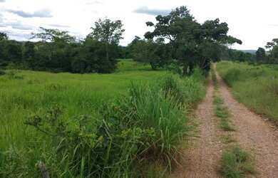 Imagem 3: 117 alqueires em Goias Velho-Go