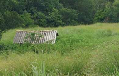 Imagem 6: 117 alqueires em Goias Velho-Go