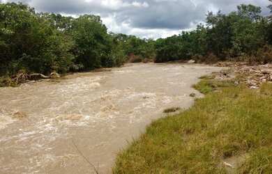 Imagem 11: 117 alqueires em Goias Velho-Go