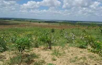 Imagem 6: Sítio/ Terreno. 