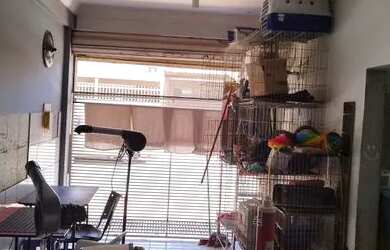 Imagem 15: Pet shop. 