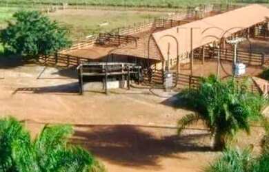 Imagem 10: Fazenda Com 34.000 Mil Hequitares Valor 350.000 Milhões de Reais