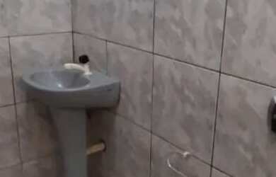 Imagem 3: Alugo casa 500 reais. Imóvel mobiliado, Varanda, 1 Banheiroe1 Dormitório