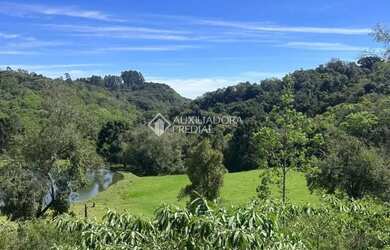 Imagem 13: Loteamento Bosque das Araucárias - Linha Imperial