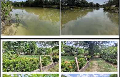 Imagem 2: Vende-se sítio na região do água boa Mais informações e fotos