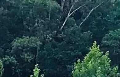 Imagem 6: Sitio - Bairro Linha 28. Piscina, Varanda, Área de serviçoe212m² de...