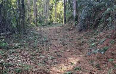 Imagem 3: Terreno Amplo 6,9 Hectares - Gramado RS - Excelente Localização