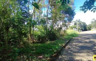 Imagem 3: Terreno para Venda em Nova Petrópolis, Juriti