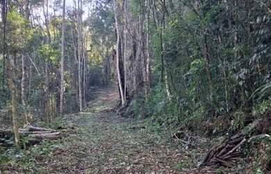 Imagem 4: Terreno Amplo 6,9 Hectares - Gramado RS - Excelente Localização