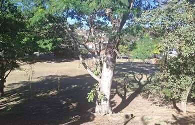 Imagem 13: Terreno Comercial à venda em Campinas, Chácaras Campos Elíseos, com 563 m²