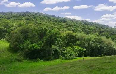 Imagem 4: Lote com vista para lago Terreno venda tem 500 metros quadrados em Lageadinho - Ibiúna - S