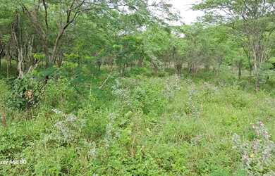 Imagem 16: FAZENDA EM BOA VISTA DO TUPIM - 1200 TAREFAS
