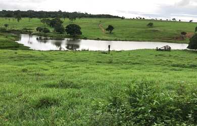 Imagem: A fazenda e está localizado em Centro, Trindade à venda por