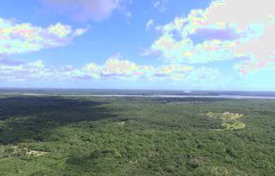 Imagem 5: 81 hectares em Curuça terra boa pra criar camarão ou fazenda R$200 mil...