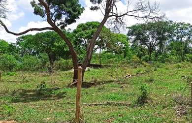 Imagem: O terreno possui 20.000m² de Área e está localizado em Matozinhos