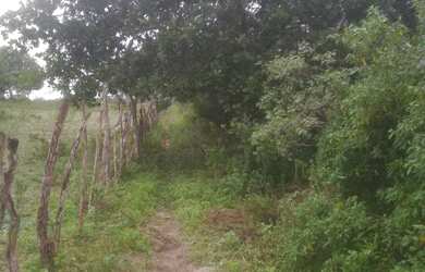 Imagem 3: Terreno com 22 Tarefas. 90.000m² de Área