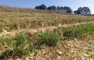 Imagem 3: Ag7- lotes para sua chacara a 3km do asfalto em atibaia