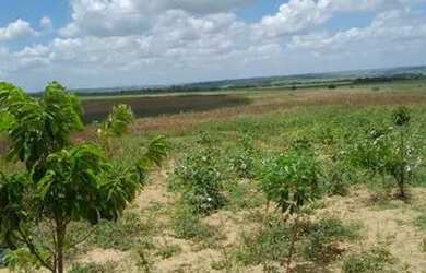 Imagem 3: Sítio/ Terreno. 