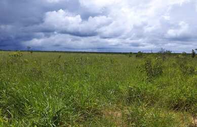 Imagem: A fazenda possui 8.500m² de Área e está localizado em Itanorte