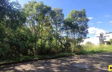 Imagem 4: Terreno para Venda em Nova Petrópolis, Juriti
