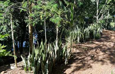 Imagem 12: Terreno Boa vista Da aparecida 5800m2