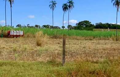 Imagem: A fazenda está localizado em Centro, Goianésia à venda por
