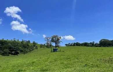 Imagem 12: Sitio com 12 Alqueires na Região de Franca - Pereira