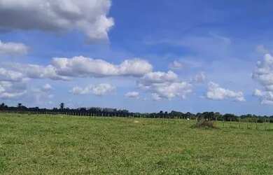 Imagem: A fazenda possui 17m² de Área e está localizado em Conceição