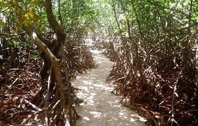 Imagem 9: Alugo uma casa na barra de santo Antônio na ilha da crôa por temporada