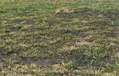 Imagem: O terreno possui 240m² de Área, Imóvel novo e está localizado