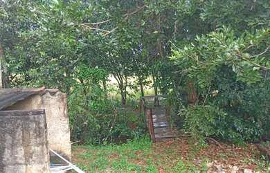 Imagem 5: A M IMOVEIS VENDE EXELENTE FAZENDA COM 400HECTARES EM PARACATU MG