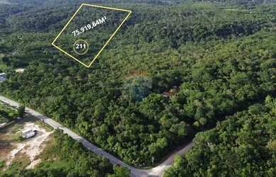 Imagem: O terreno possui 75.919m² de Área e está localizado em Monte